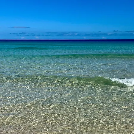 Maracuya Vila Lajares